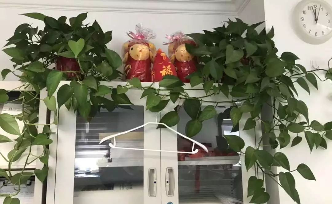 暂无图片