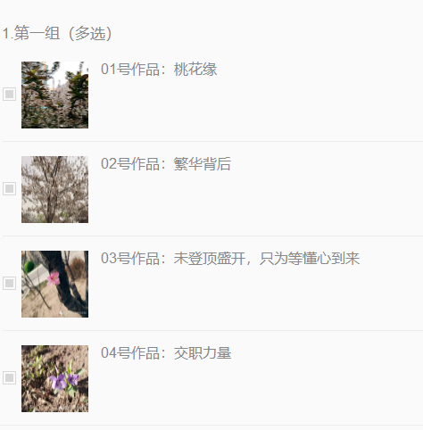 “春花烂漫”摄影大赛投票开始啦！