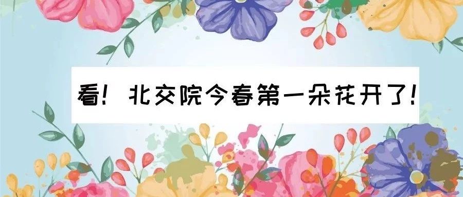 暂无图片