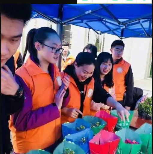 暂无图片